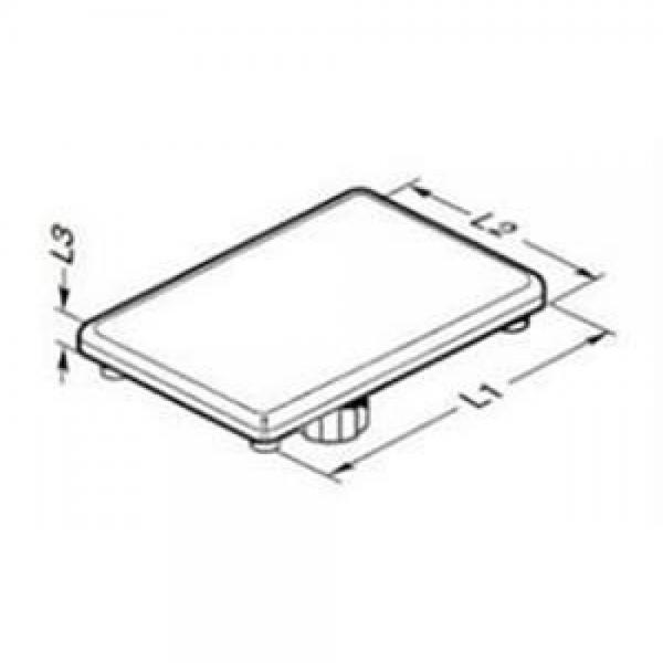 Bosch Rexroth 3842548744, End Cap 30X30,Grey 3842548744 Rexroth