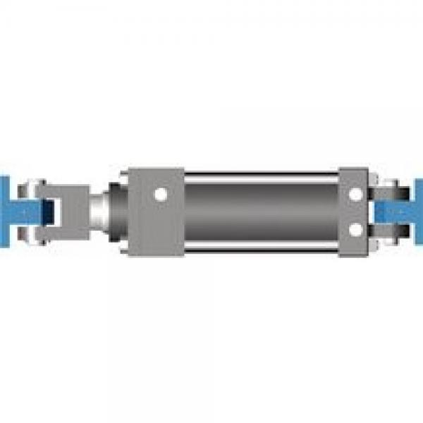 Bosch Rexorth Eye bearing block CLEA 48 CD70/CD210 AUGE KPL. R900318522 Rexroth